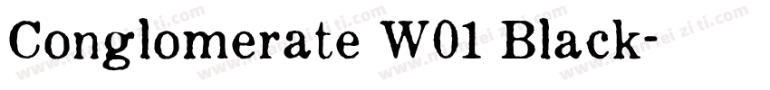 Conglomerate W01 Black字体转换